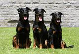 BEAUCERON 778